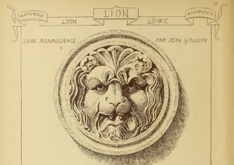 LION_0032